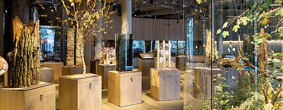 waelderhaus_06_1301_grimmenstein