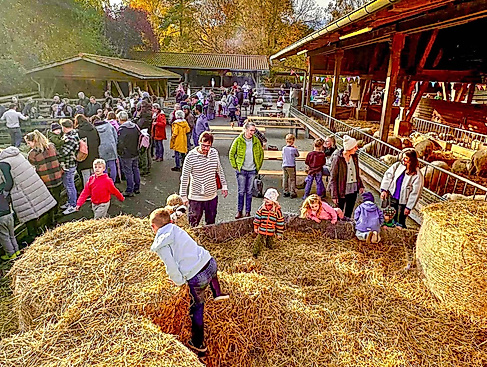 Hoffest im Herbst