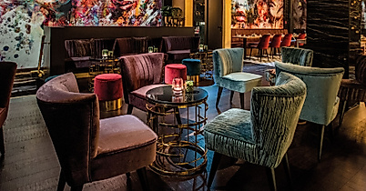 poi-6-tyo-tyo-2500x974