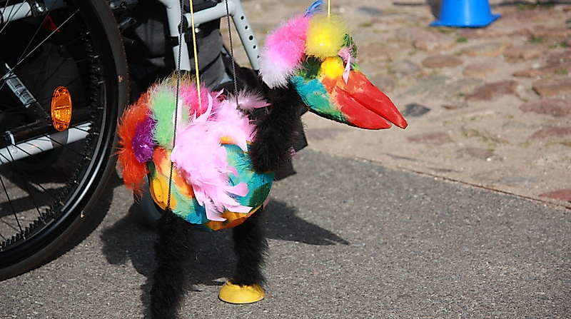 Hofsommerfest ?Barmbek schwingt? 2025