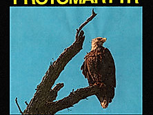 Protomartyr - Tour 2027