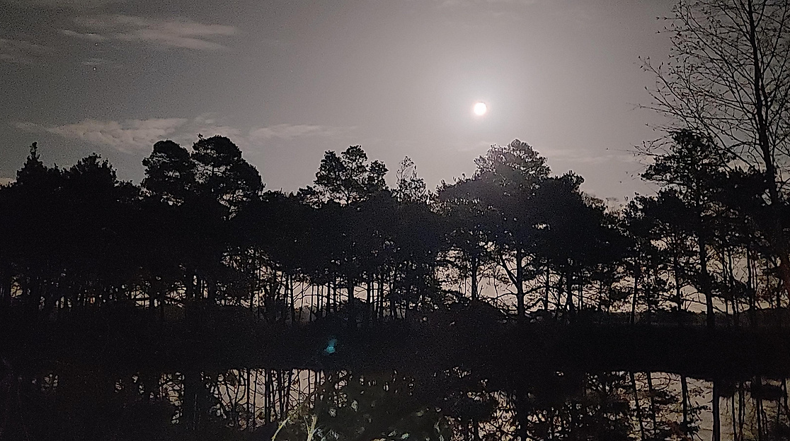 Vollmondwanderung auf dem Heidschnuckenweg