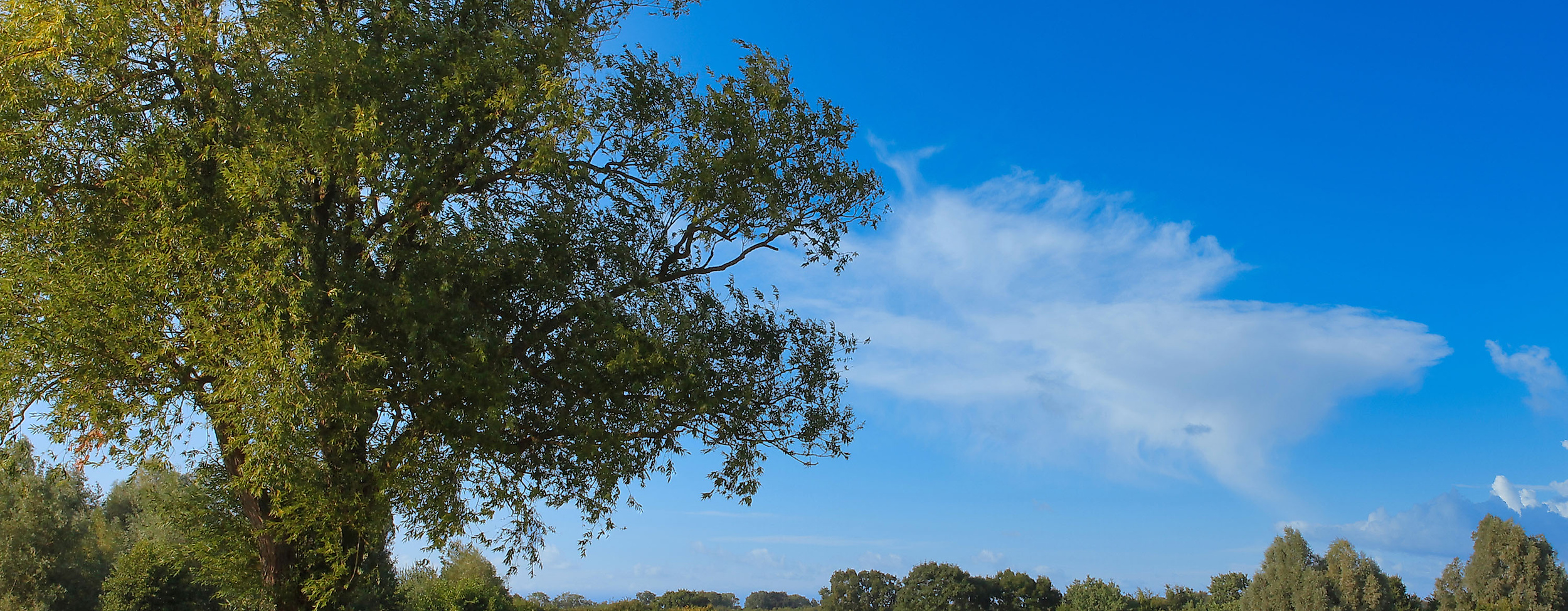 maritim_golfpark_ostsee-c-maritim_golfpark_ostsee