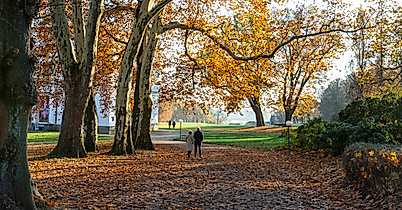 lee_maas_timo_sommer_elbvororte_jenisch_park3000px_argb_200_1