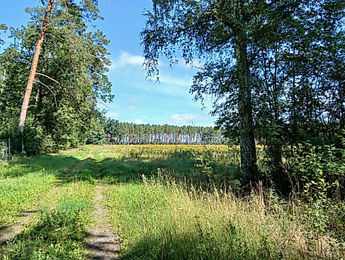 Erlebnistag Wandern des TV von 1860 Neuhaus: Durch die Wälder