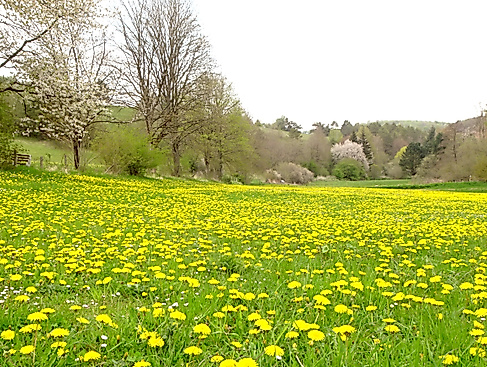 dsc09820