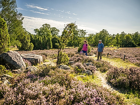 Vogelstimmen- Frühwanderung