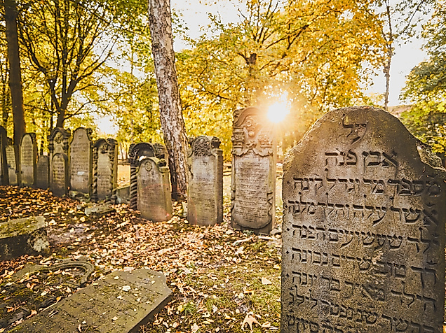 juedischer-friedhof-altona_c-2018-thisisjulia-photography-1