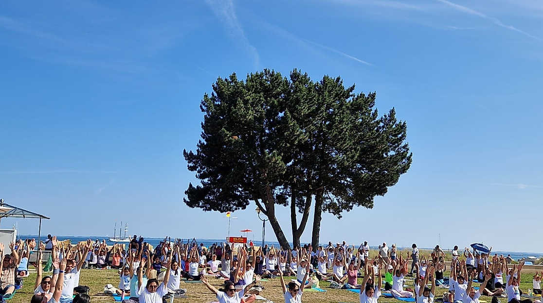 Yogafest 2025