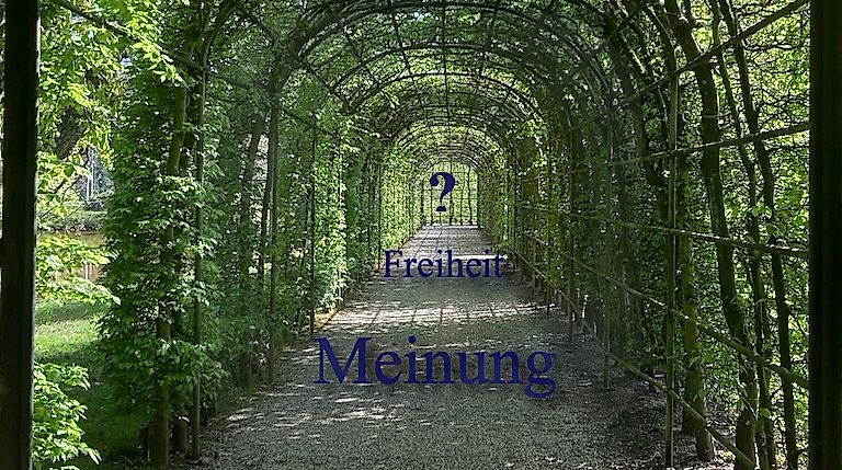 2025  Meinungsfreiheit - 3