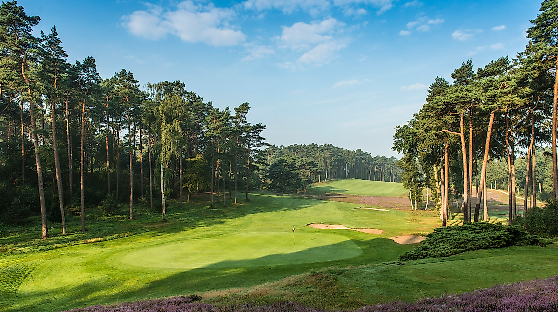 hamburger-golf-club-falkenstein_platz_c-hamburger-golf-club-ev_05