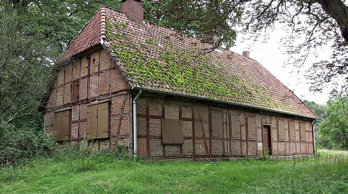 Alte Schule Lopau, Alice Frerichs (1)