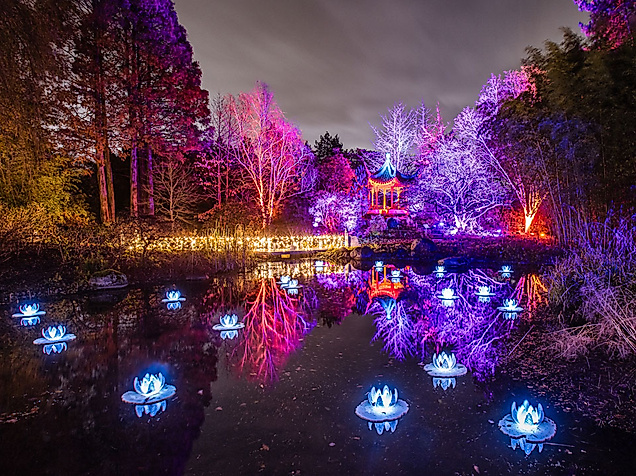 Leuchtende Wasserblumen und bunt illuminierte Bäume im Christmas Garden Hamburg bei Nacht