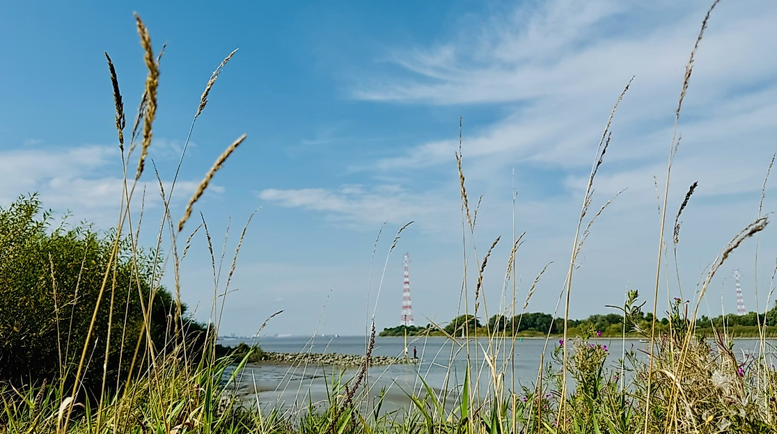Natur- und Erlebnisführung auf Lühesand