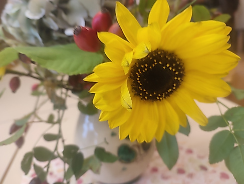 Gemeindenachmittag