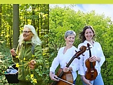 Der Gesang der Bäume