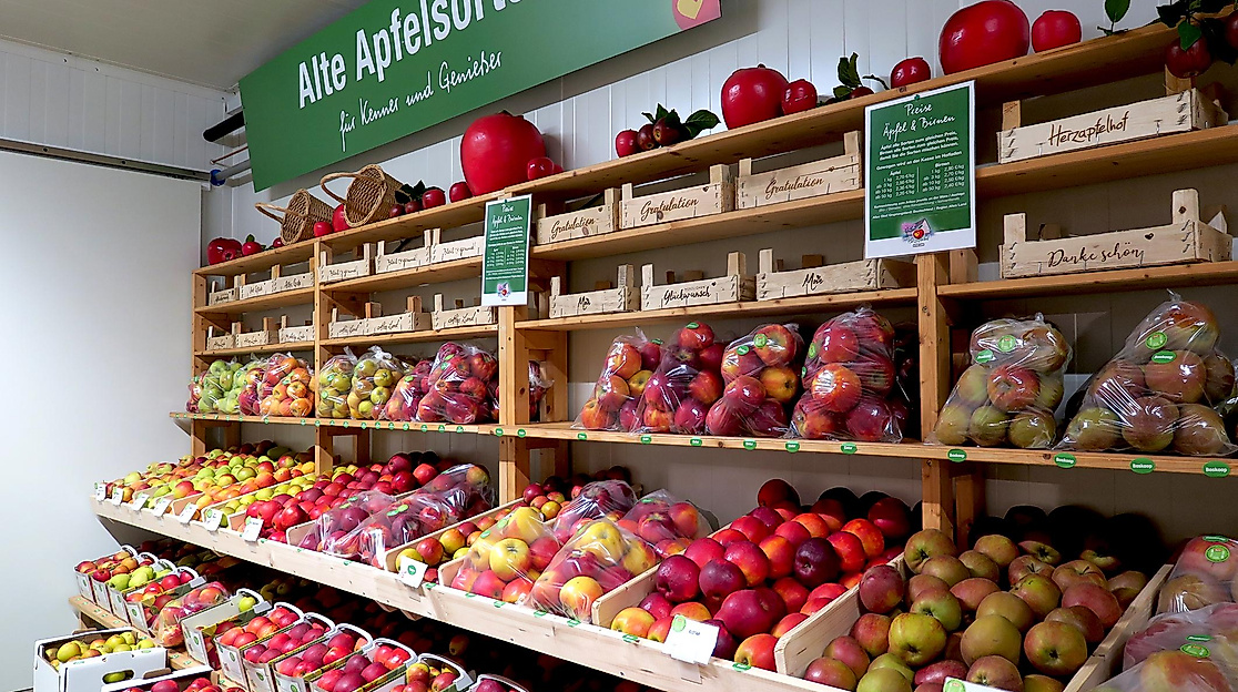 Öffentliche Freitags-Führung