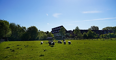 Gut Karlshöhe