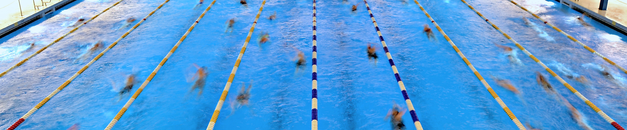 Großes Schwimmbecken mit mehreren Bahnen, in dem zahlreiche Personen gleichzeitig trainieren