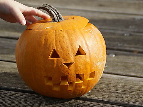 Kürbisse für Halloween