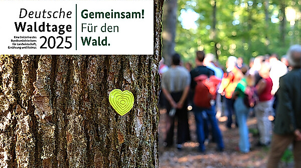csm_Pressebild_DWT_2025_03_59d1e99b7b