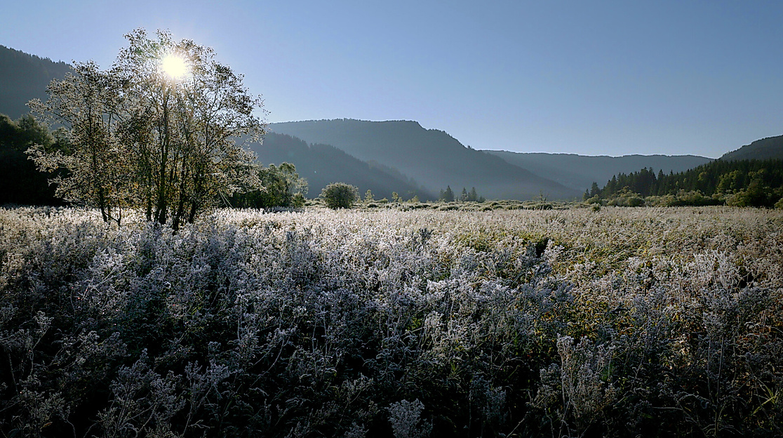 Geheimnisvolle Moorlandschaften