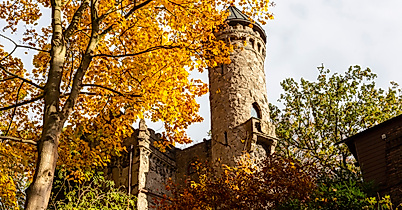 Burg Henneberg in Hamburg-Marienthal, herbstlich umgeben von gelb gefärbten Bäumen und historischem Rundturm.