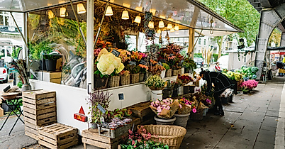 Isemarkt Blumenstand Hamburg