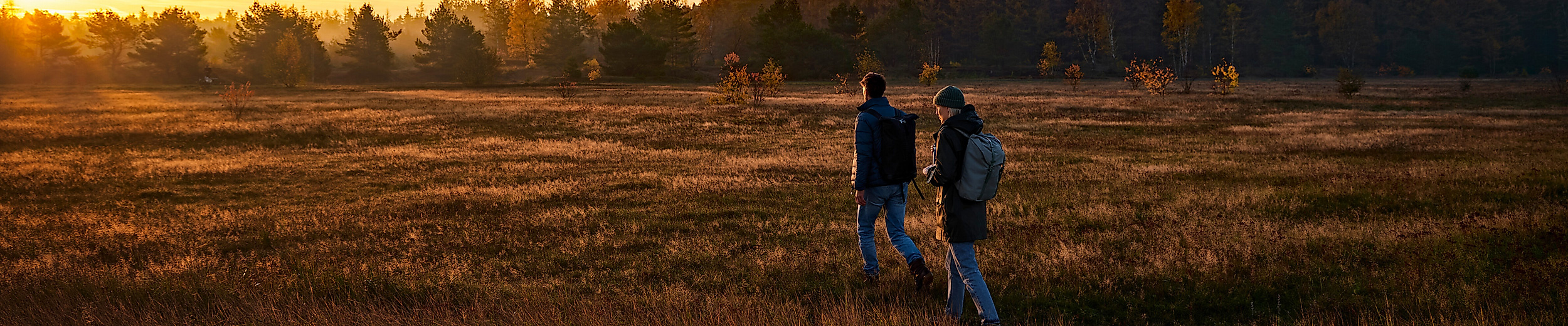 Wanderndes Paar im Naturschutzgebiet in Hamburg bei Abendstimmung