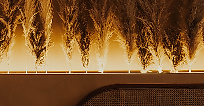 Café Noem