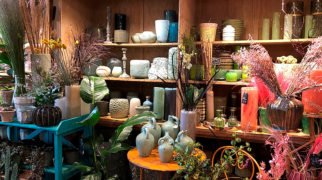 Grüne Flora in der Schanze