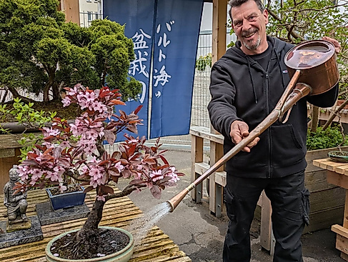 Sven Wagenknecht bei Bonsai-Arbeiten