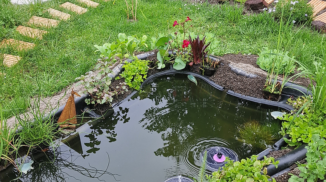 Gartenteich_Kunst und Kraut