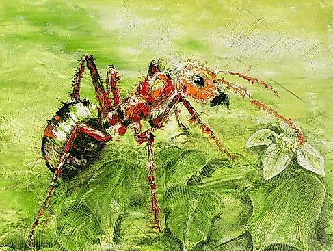 2025-Formica-rufa-Alexa-Binnewies_s-700x500
