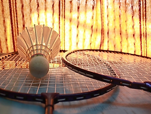 Speedminton / Badminton