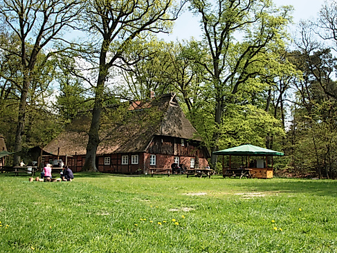 Ehrhorner Spurensuche im Waldpädagogikzentrum