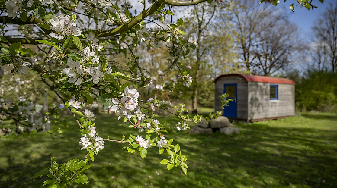 Hof an den Teichen im Frühling