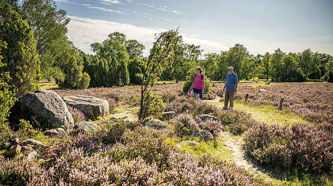Vogelstimmen- Frühwanderung