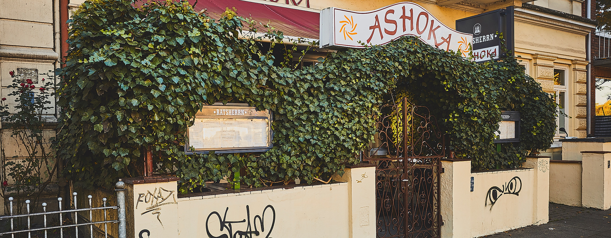 ashoka_c-2018-thisisjulia-photography-2