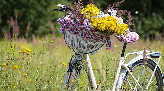 Radtour mit dem Radelrudel