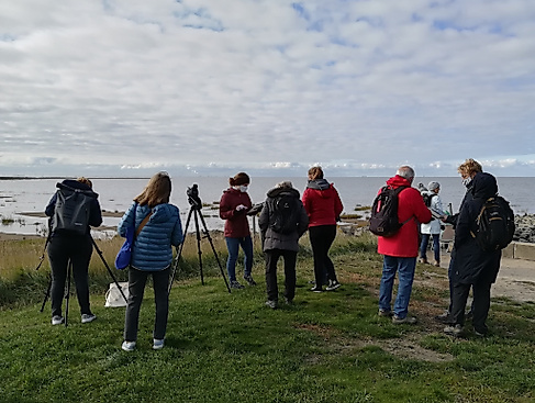 Mit den Junior Ranger*innen auf Zugvogel-Suche