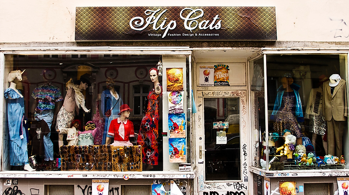 hip-cats_front3_c-2018_tschreiber