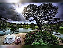 Japan – im Land der aufgehenden Sonne