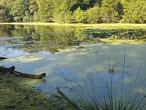 Lockere Tour nach Wedel