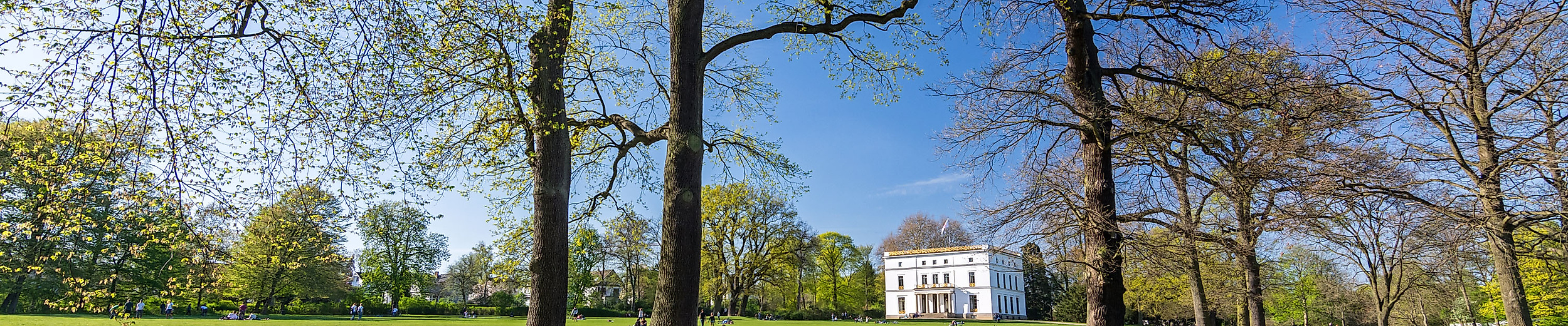 Experience England in Hamburg