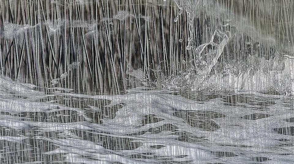 Ausstellungseröffnung "nah am Wasser"