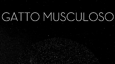 Gatto Muscoloso Poster