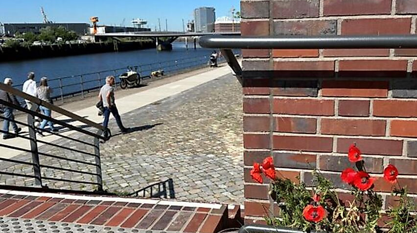 Blumen in der HafenCity