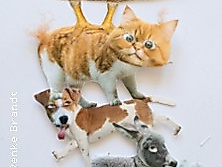 Die Bremer Stadtmusikanten