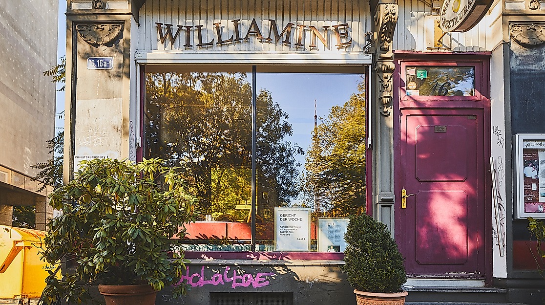 williamine_c-2018-thisisjulia-photography-4